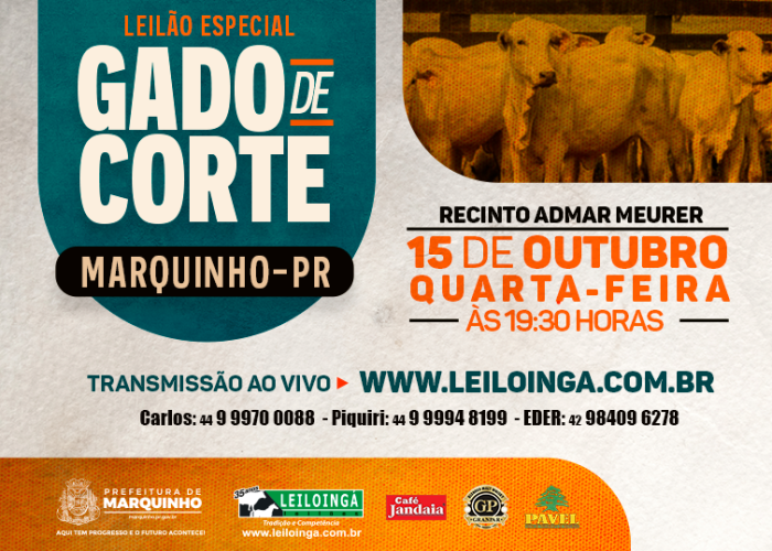 LEILÃO ESPECIAL GADO DE CORTE - MARQUINHO-PR