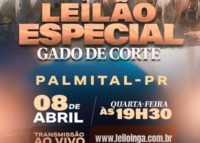 LEILÃO ESPECIAL GADO DE CORTE
