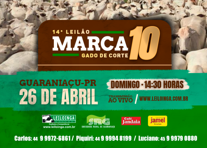 14º Leilão MARCA 10- Gado de Corte -GUARANIAÇU-PR