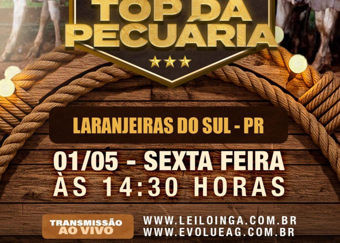 7º Leilao Top da Pecuária- Gado de Corte