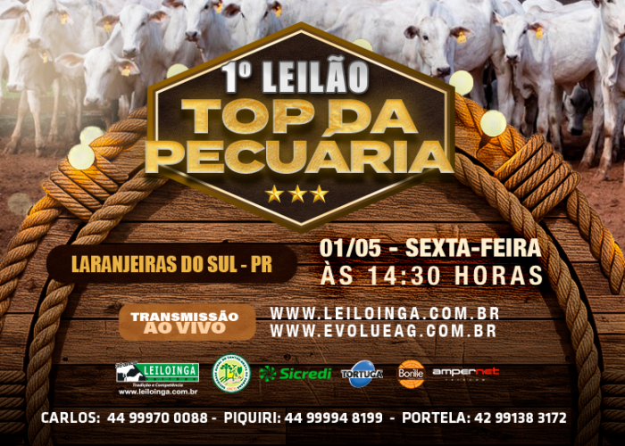 7º Leilao Top da Pecuária- Gado de Corte