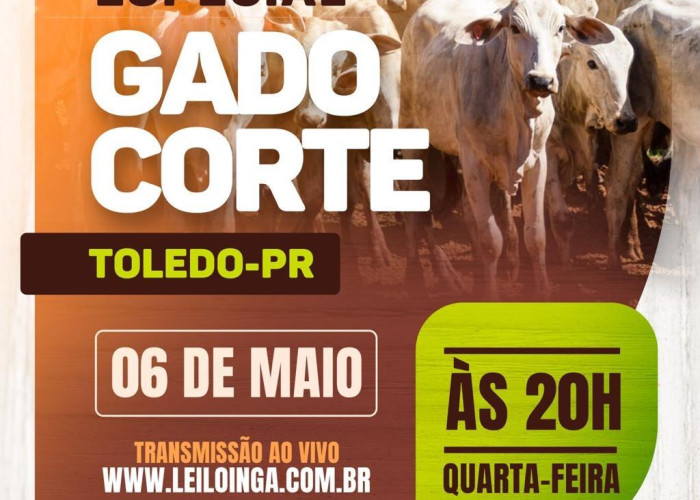 Leilão gado de corte-Toledo-Pr 