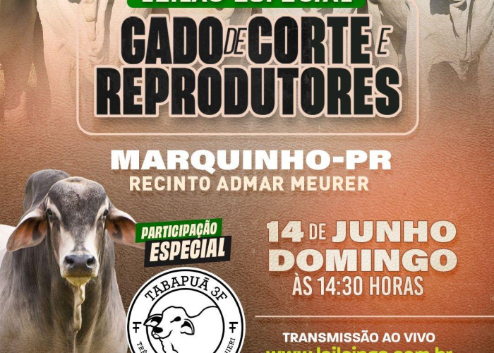 2º LEILÃO ESPECIAL GADO DE CORTE E REPRODUTORES- MARQUINHO-PR