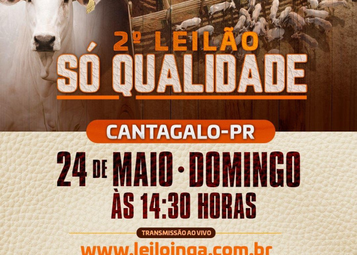 2º Leilão Só Qualidade - Gado de Corte - CANTAGALO-PR