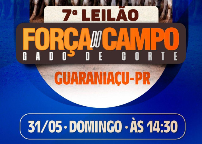 7ºLeilão Força do Campo - Gado de Corte - GUARANIAÇU-PR