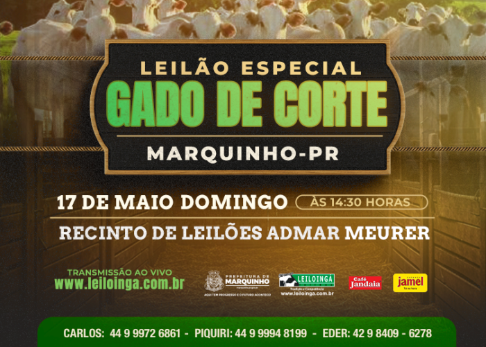 LEILÃO ESPECIAL GADO DE CORTE - MARQUINHO-PR