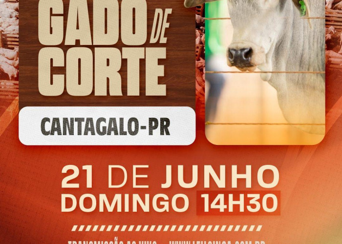 LEILÃO ESPECIAL GADO DE CORTE - CANTAGALO-PR