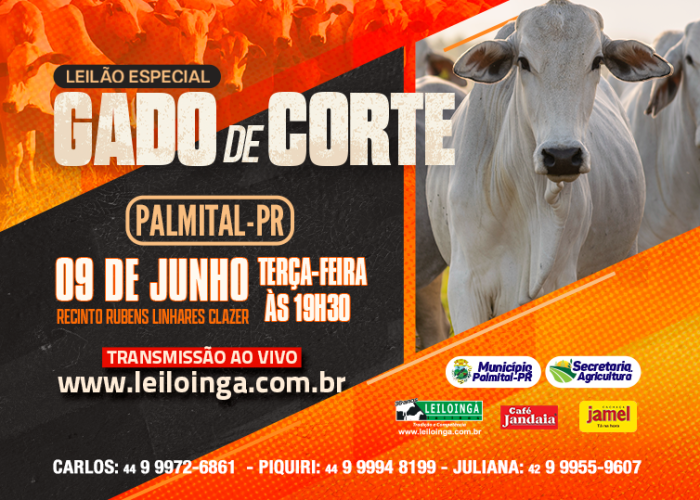 LEILÃO ESPECIAL GADO DE CORTE - PALMITAL-PR