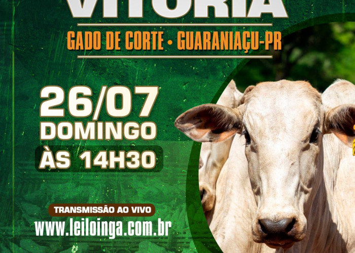 5º Leilão da Vitória - Gado de Corte - GUARANIAÇU-PR