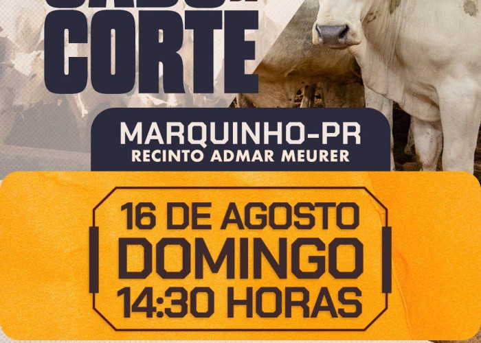 LEILÃO ESPECIAL GADO DE CORTE - MARQUINHO-PR