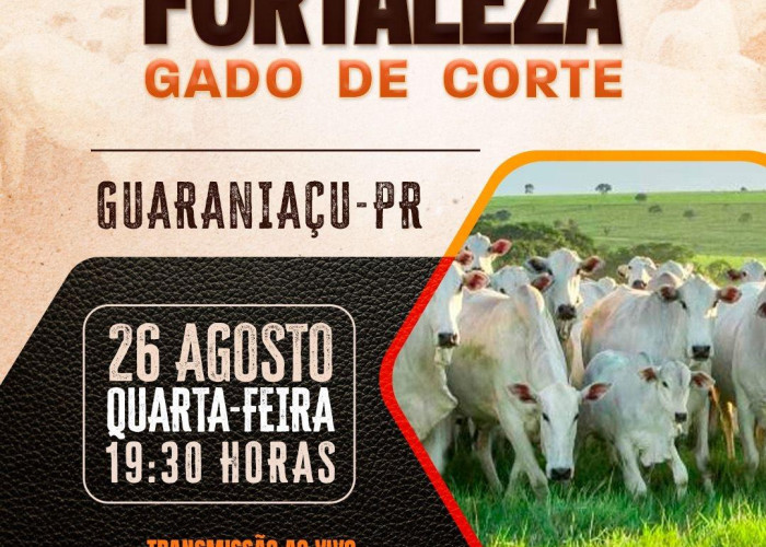 5º Leilão Fortaleza - Gado de Corte - GUARANIAÇU-PR