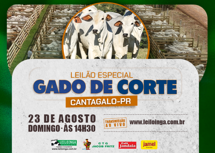 LEILÃO ESPECIAL GADO DE CORTE - CANTAGALO-PR