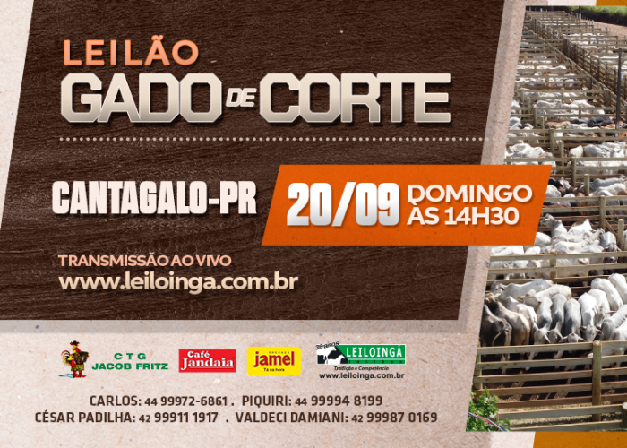 LEILÃO ESPECIAL GADO DE CORTE - CANTAGALO-PR