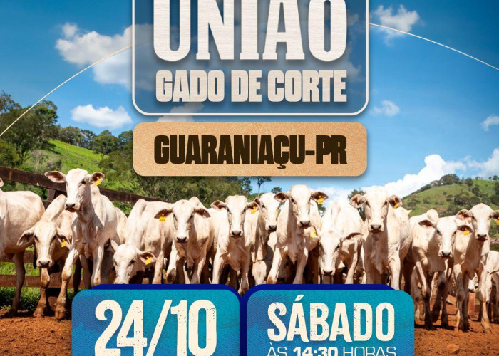 6º Leilão da União - Gado de Corte - GUARANIAÇU-PR