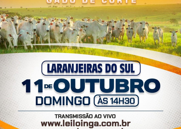 7º Leilao das Águas-Gado de Corte - Laranjeiras do Sul