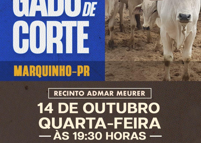 FEIRA DE GADO DE CORTE - MARQUINHO-PR