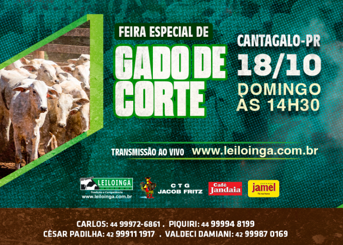 LEILÃO ESPECIAL GADO DE CORTE - CANTAGALO-PR