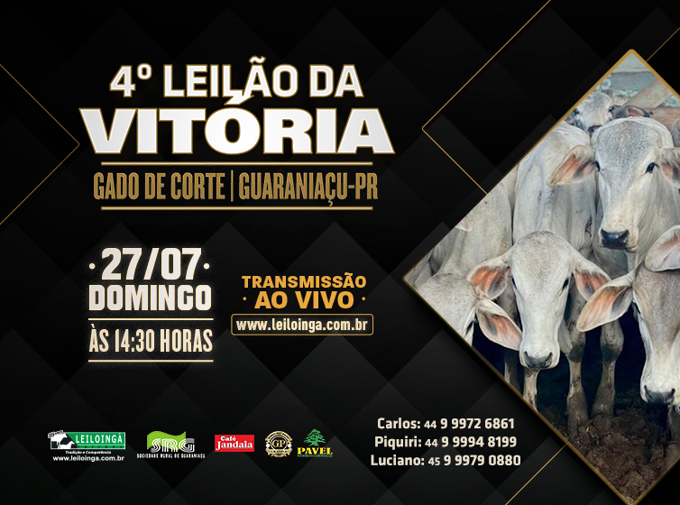 4º Leilão da Vitória - Gado de Corte - GUARANIAÇU-PR