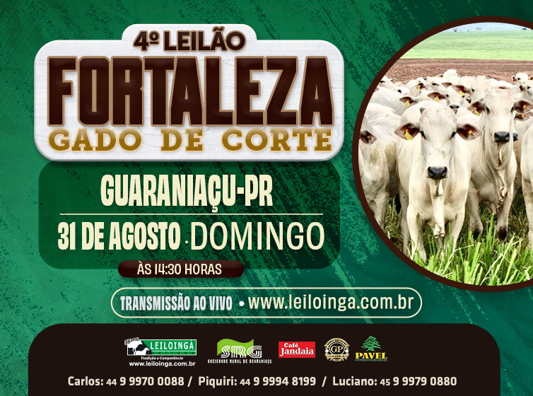 4º Leilão Fortaleza - Gado de Corte- GUARANIAÇU-PR