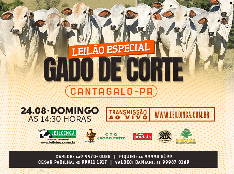 LEILÃO ESPECIAL GADO DE CORTE - CANTAGALO-PR