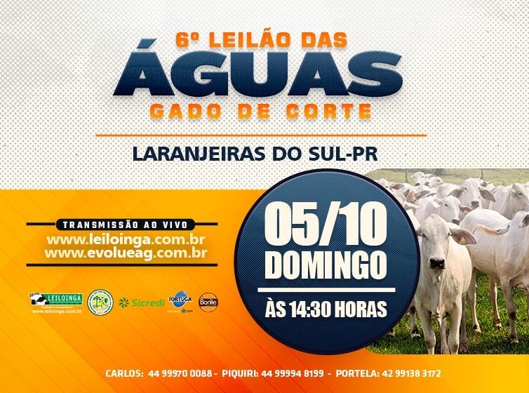 6º Leilão das Águas - Gado de Corte