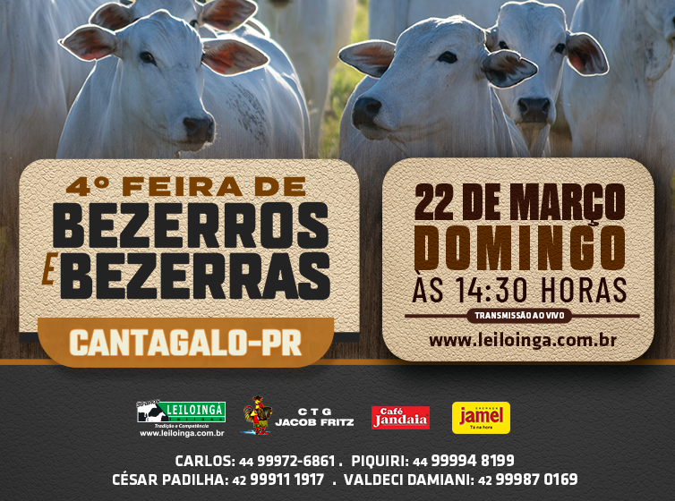 4ª FEIRA DE BEZERROS E BEZERRAS - Cantagalo-Pr
