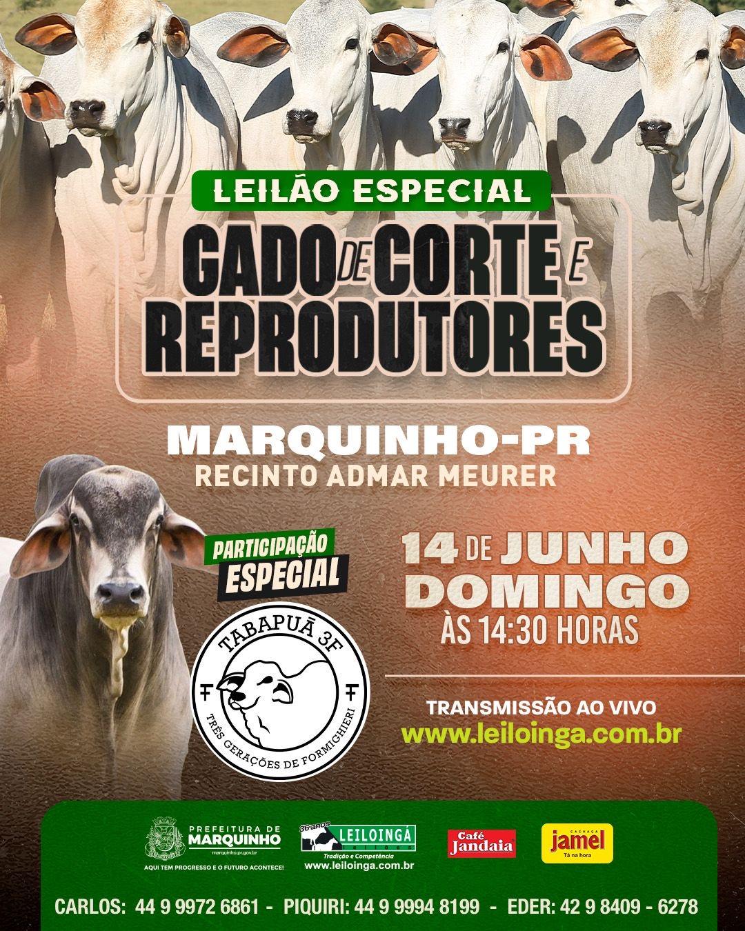 2º LEILÃO ESPECIAL GADO DE CORTE E REPRODUTORES- MARQUINHO-PR