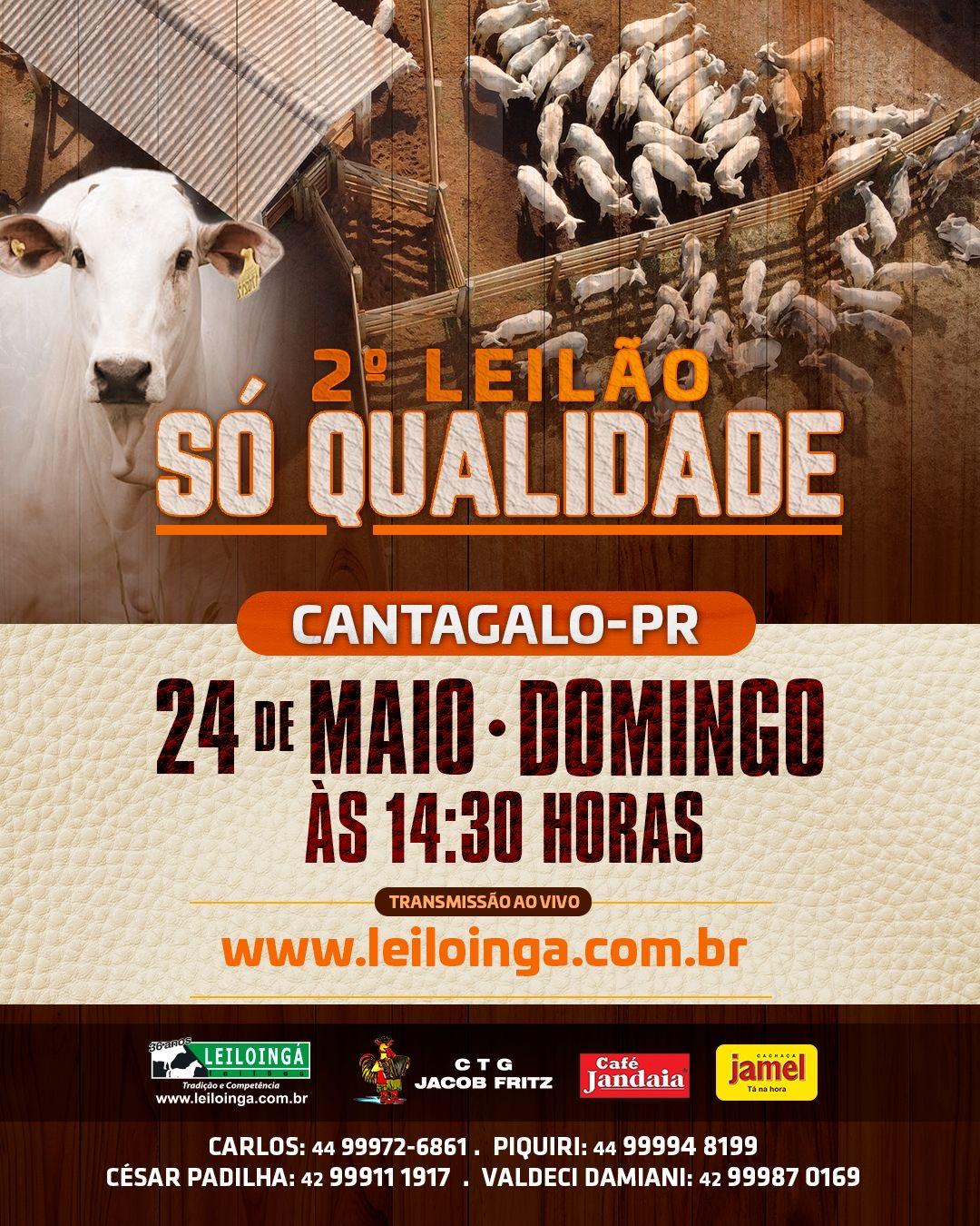2º Leilão Só Qualidade - Gado de Corte - CANTAGALO-PR