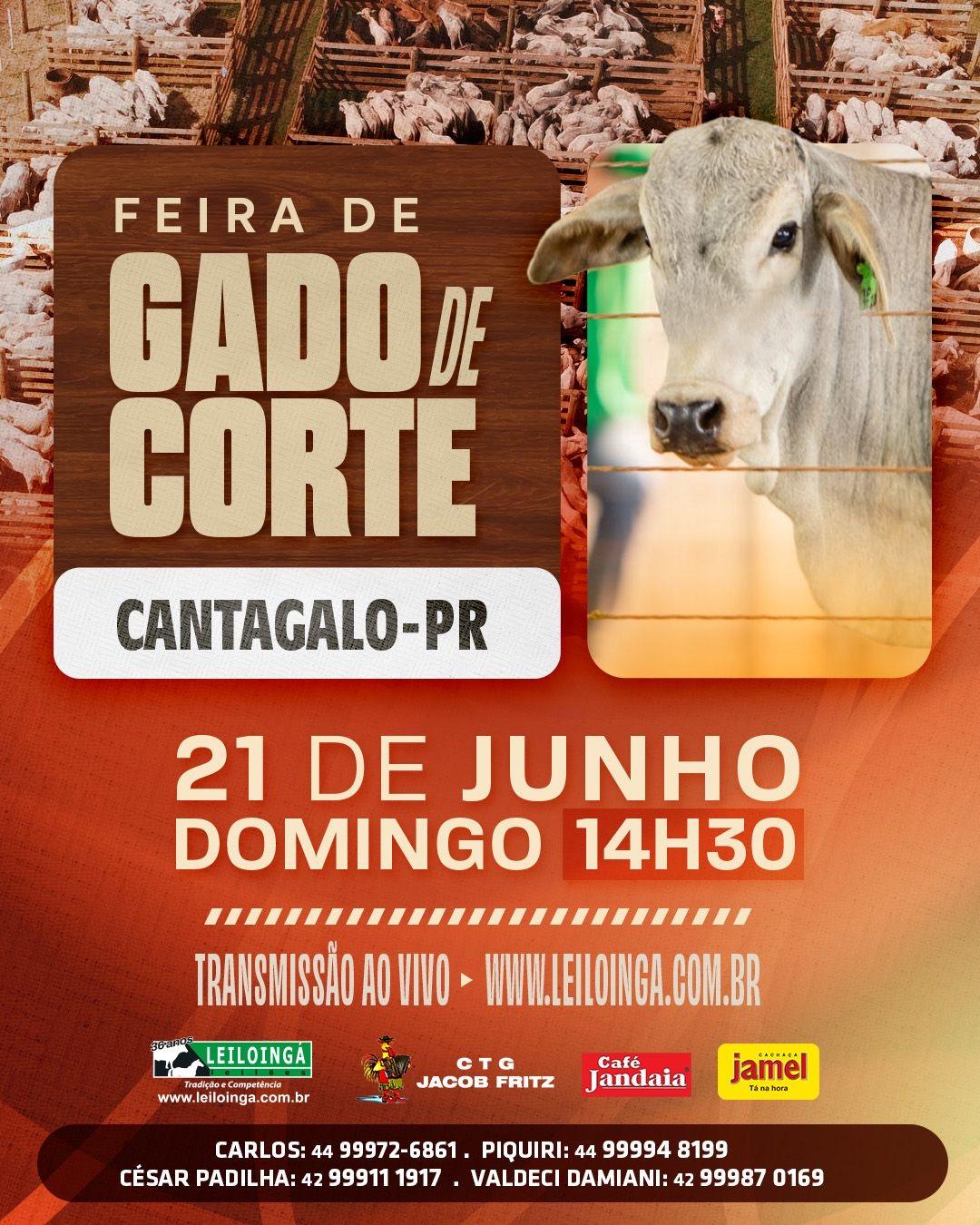 LEILÃO ESPECIAL GADO DE CORTE - CANTAGALO-PR