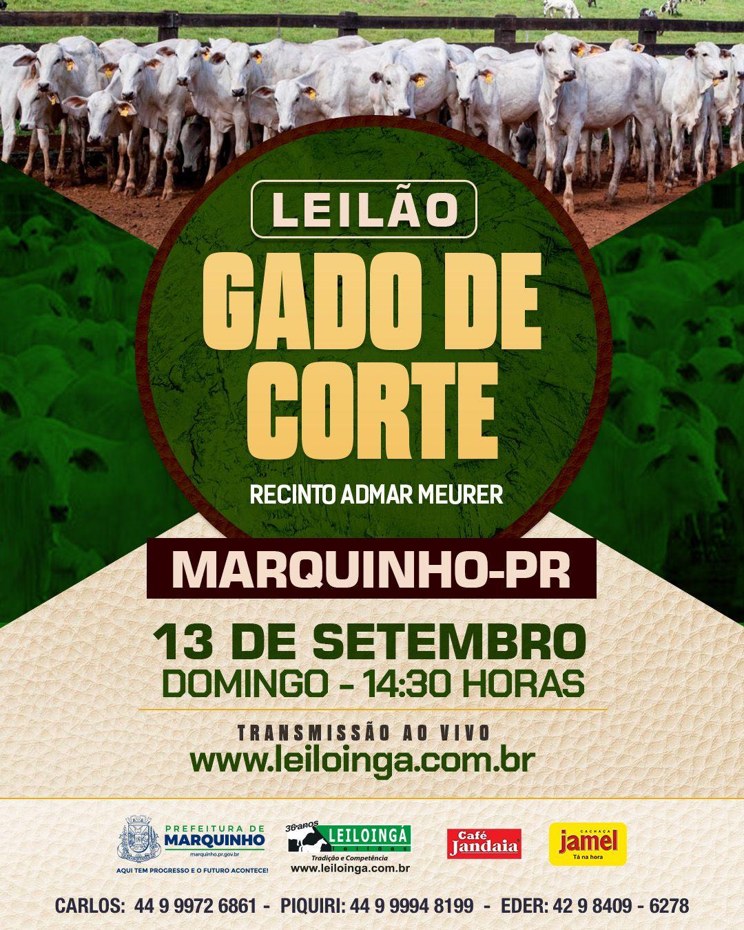 FEIRA DE GADO DE CORTE - MARQUINHO-PR