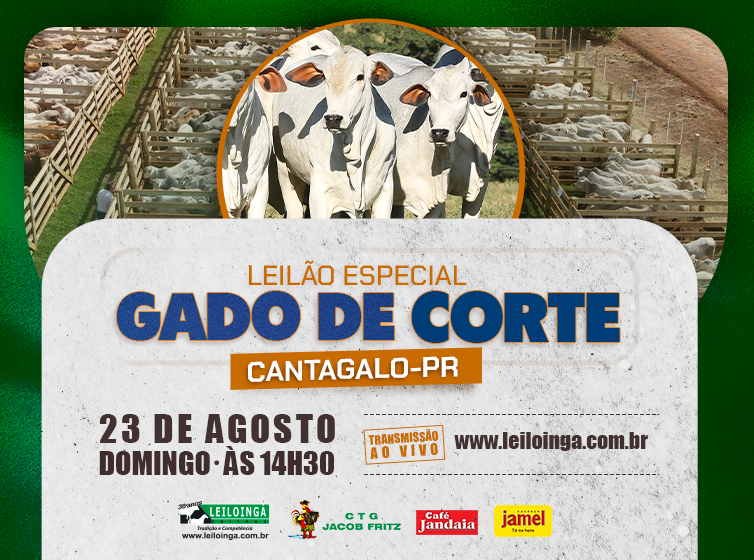LEILÃO ESPECIAL GADO DE CORTE - CANTAGALO-PR